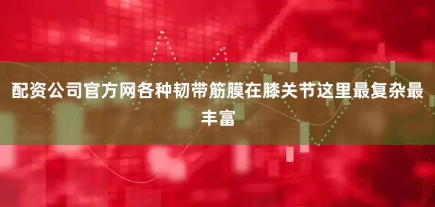 配资公司官方网各种韧带筋膜在膝关节这里最复杂最丰富