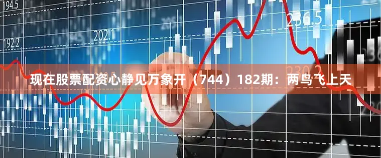 现在股票配资心静见万象开（744）　　182期：两鸟飞上天