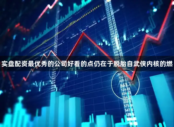 实盘配资最优秀的公司好看的点仍在于脱胎自武侠内核的燃